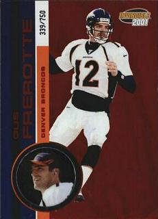 Gus Frerotte