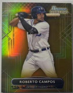 Roberto Campos