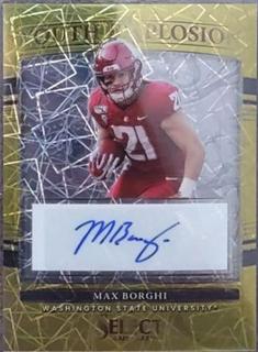 Max Borghi