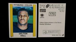 Delton Hall