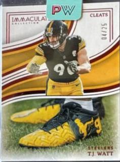 T.J. Watt