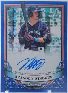 Brandon Winokur