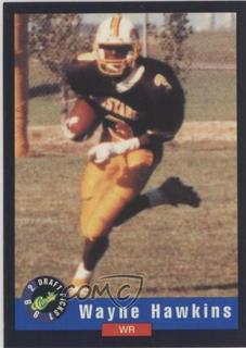 Wayne Hawkins