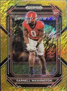Darnell Washington