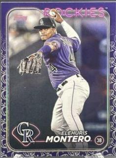 Elehuris Montero