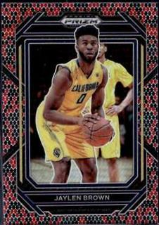 Jaylen Brown