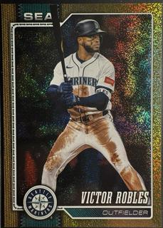 Victor Robles