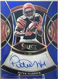 Peter Warrick