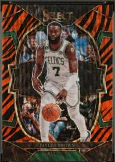 Jaylen Brown