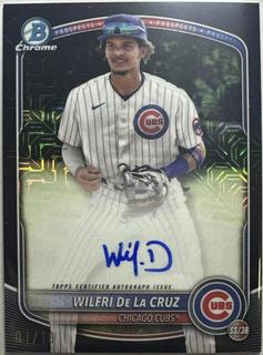 Wilfri De La Cruz