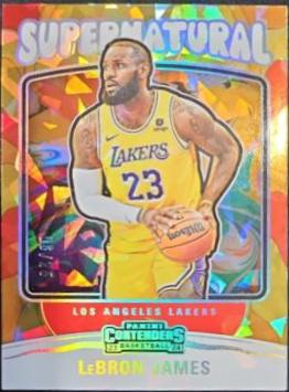 LeBron James [Cracked Ice] #17