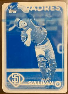 Brett Sullivan