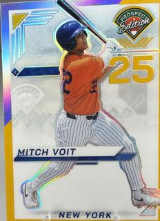 Mitch Voit