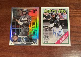 Luis Robert