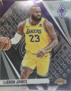 LeBron James #211 Cover Art
