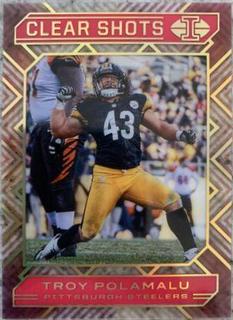 Troy Polamalu