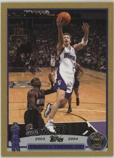 Hedo Turkoglu