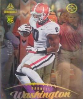 Darnell Washington