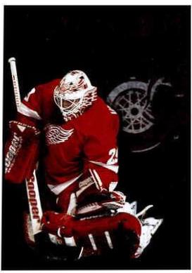 Mike Vernon #319 Hockey Cards 1995 Score