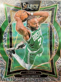 Jaylen Brown