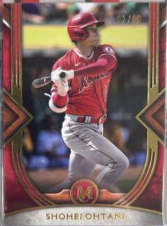 Shohei Ohtani