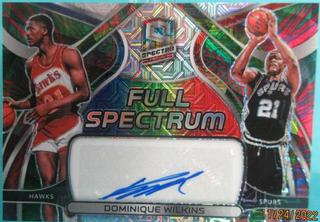 Dominique Wilkins