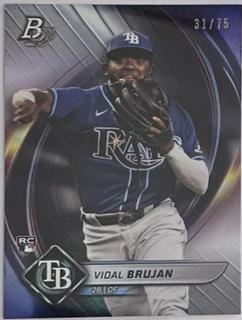 Vidal Brujan