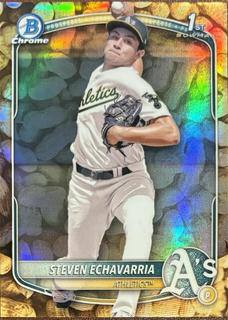 Steven Echavarria