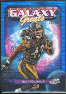 Troy Polamalu