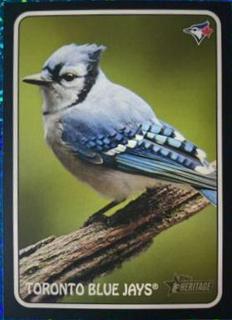 Toronto Blue Jays