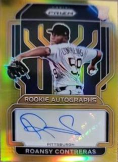 Roansy Contreras