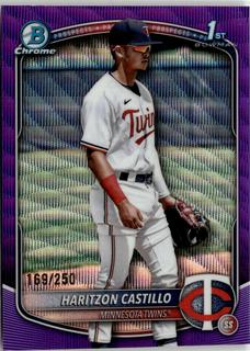 Haritzon Castillo