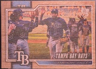 Team Card