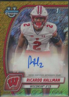 Ricardo Hallman