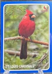 St. Louis Cardinals