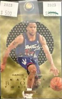 Damon Stoudamire