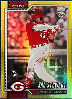 Sal Stewart