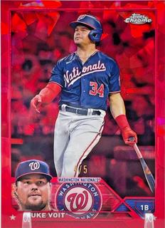 Luke Voit