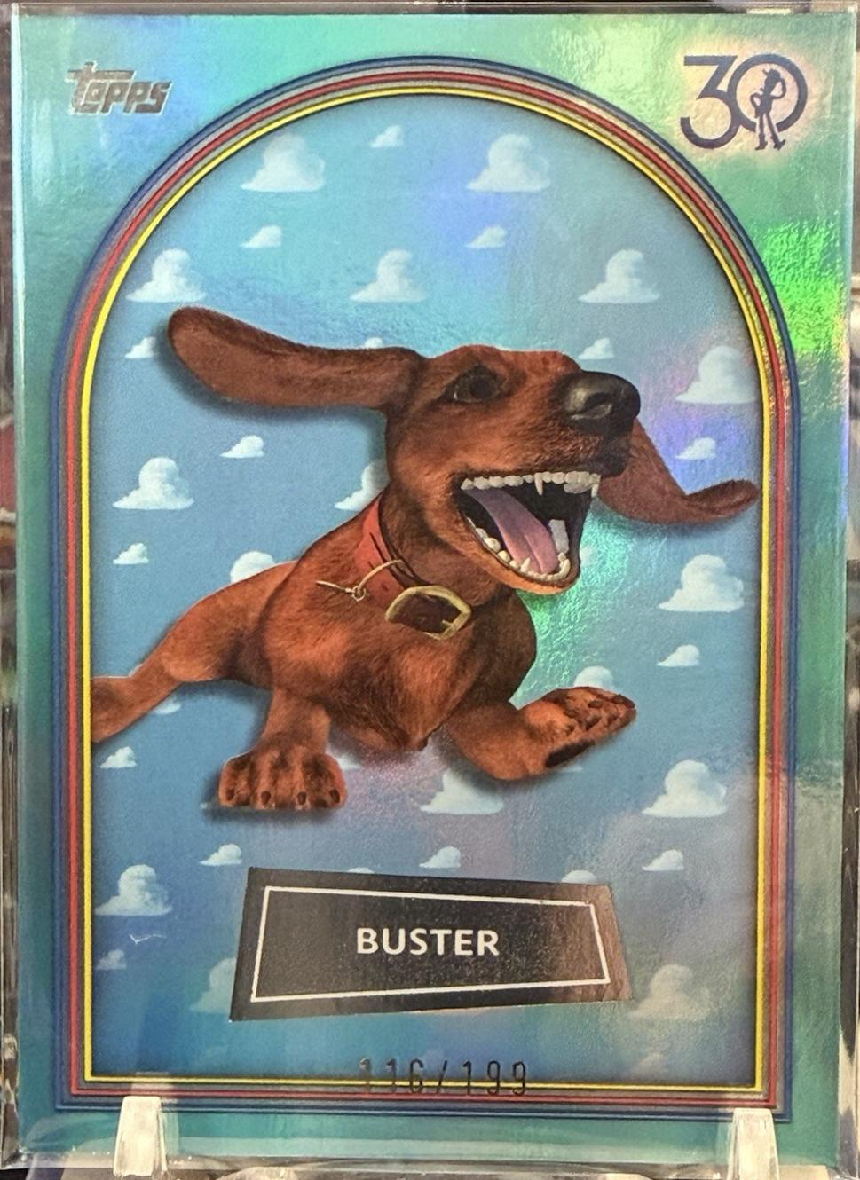 Buster [Aqua Foil] #49