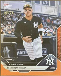 Aaron Judge