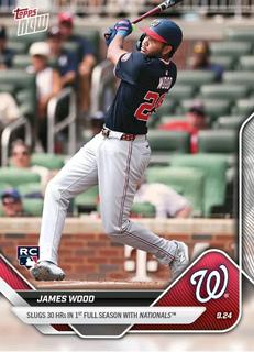 James Wood
