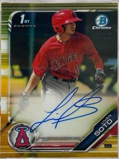 Livan Soto