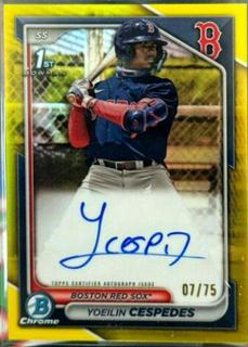 Yoeilin Cespedes