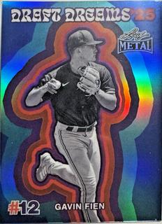 Gavin Fien