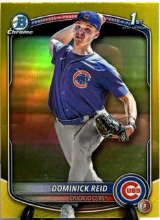 Dominick Reid