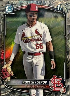 Royelny Strop