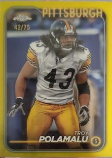 Troy Polamalu