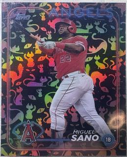 Miguel Sano
