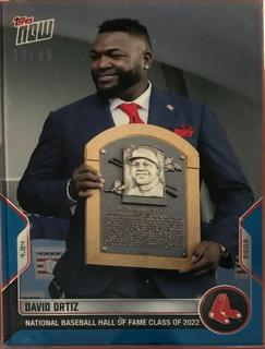 David Ortiz