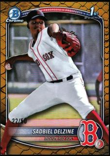 Sadbiel Delzine